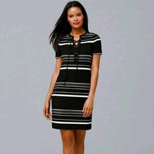 White House Black Market Short-Sleeve Stripe Lace-Up Knit Shift Mini Dress Small